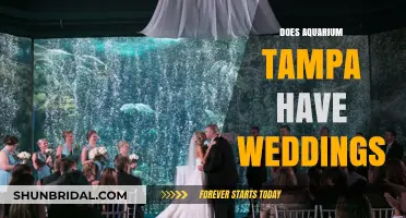 Aquarium Tampa Weddings: A Unique Venue for Your Special Day