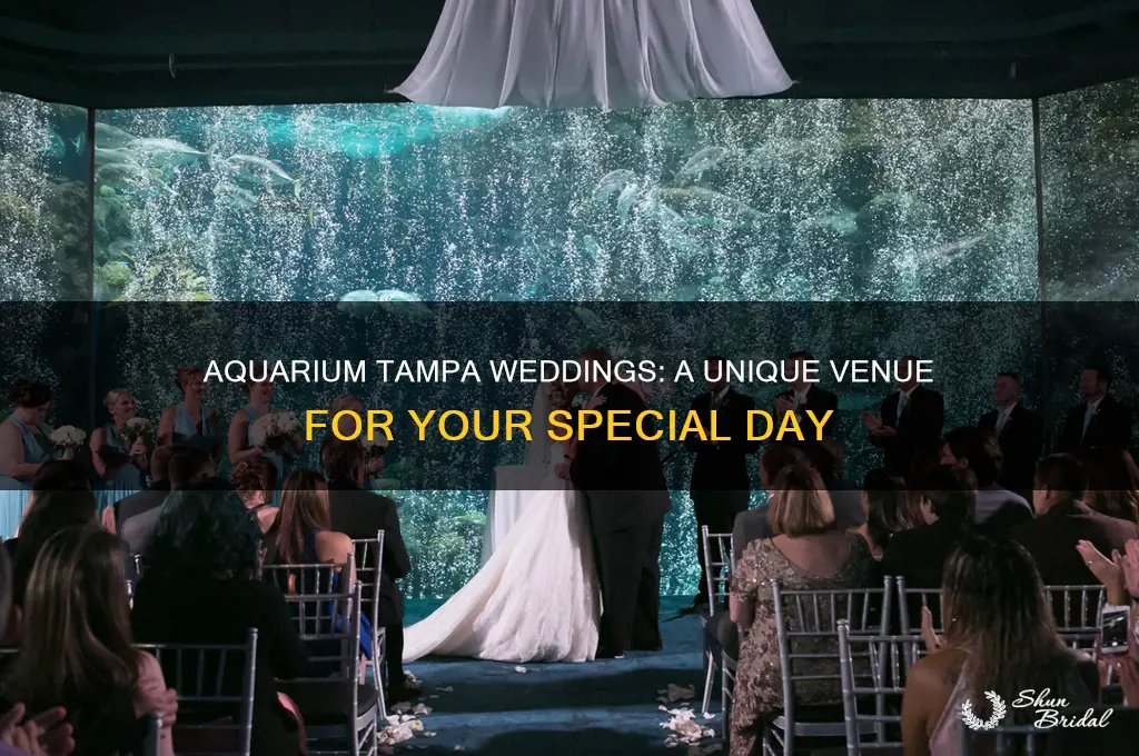 does aquarium tampa have weddings