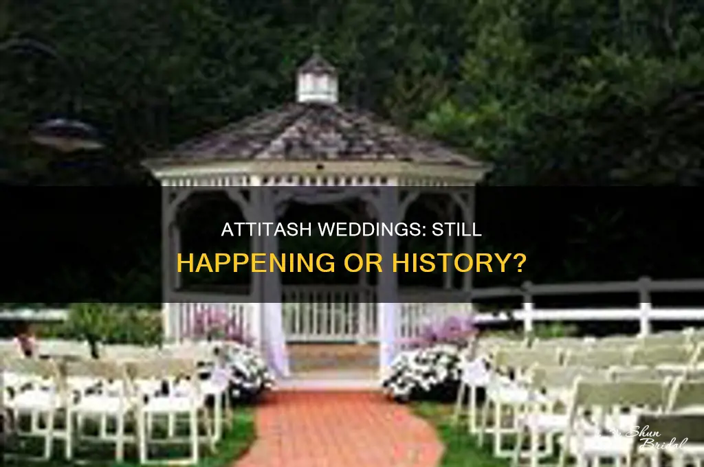 does attitash still conduct weddings