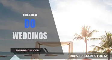 Aulani Weddings: The Perfect Hawaiian Paradise Venue