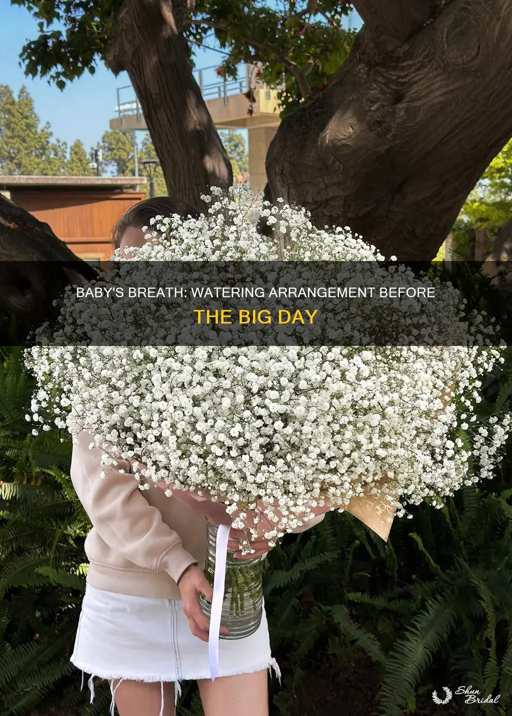 does babys breathe arrangement need water day before wedding