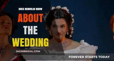 Benvolio's Awareness of the Wedding: What Did He Know?