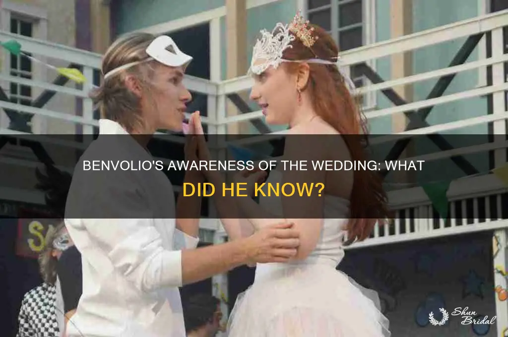 does benvolio know about the wedding