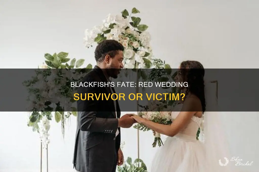 does blackfish die at the red wedding