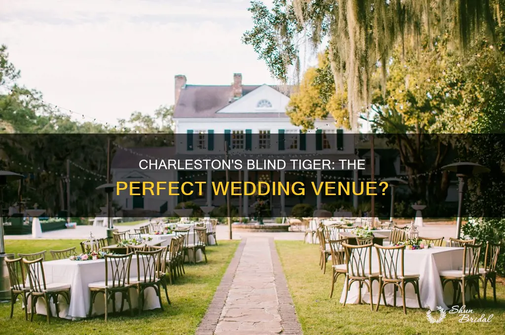 does blind tiger in charleston sc host weddings