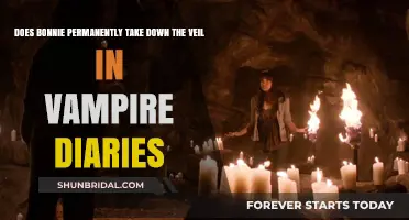 Bonnie's Veil Takedown: Permanent or Temporary in Vampire Diaries?