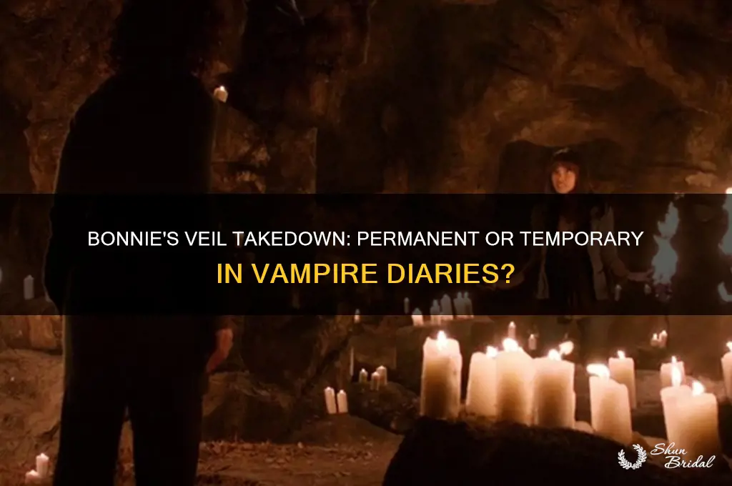does bonnie permanently take down the veil in vampire diaries