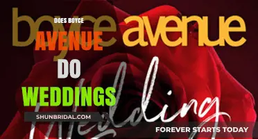 Boyce Avenue: Your Wedding's Perfect Musical Avenue