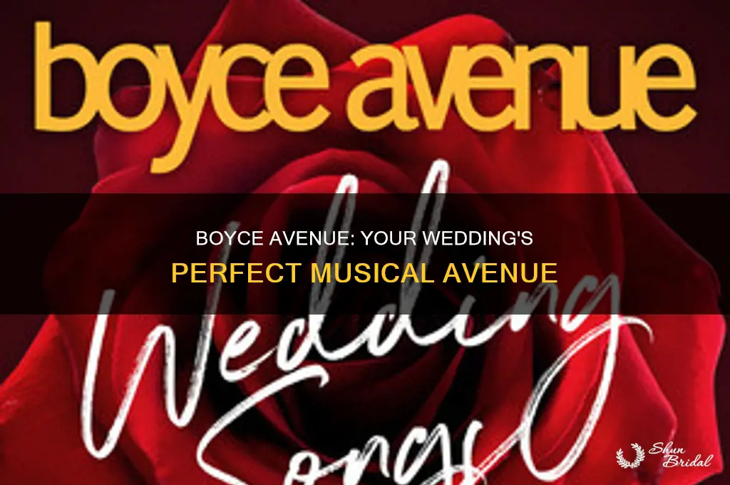 does boyce avenue do weddings