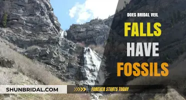 Bridal Veil Falls: Unveiling Fossil Secrets in the Cascade