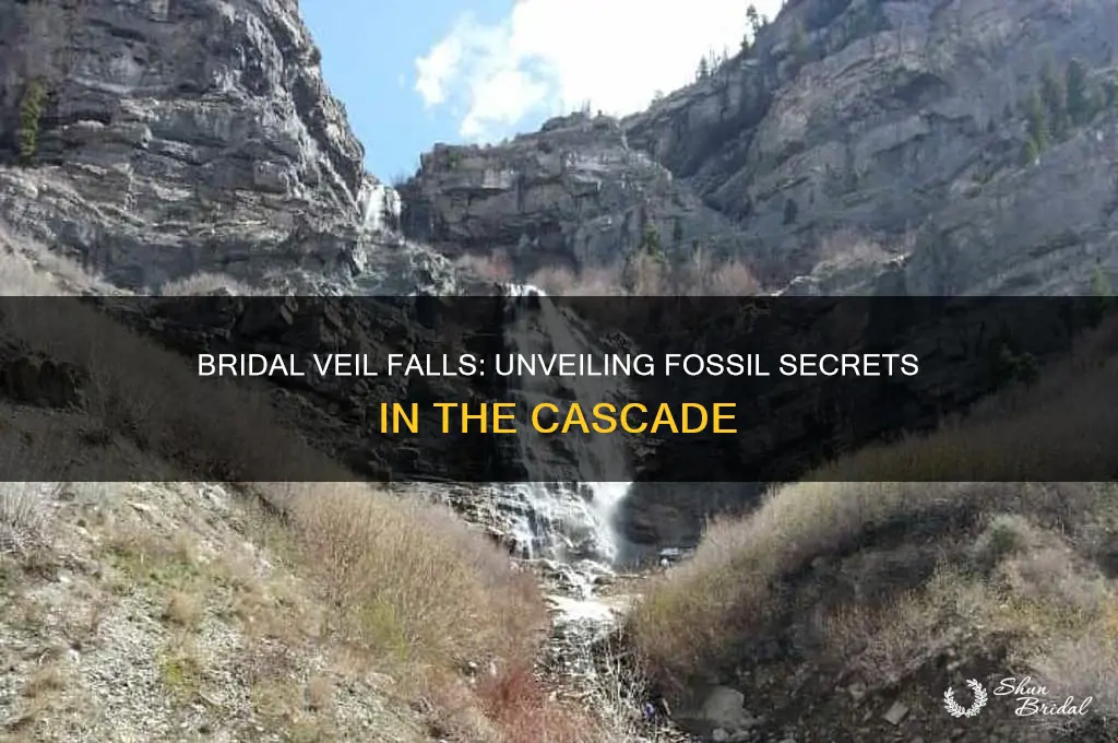 does bridal veil falls have fossils