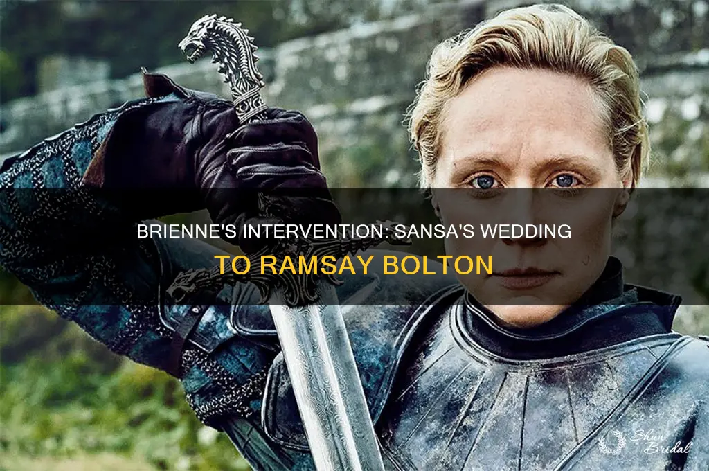 does brienne stop sansa wedding to ramsay bolton