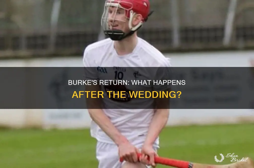 does burke come back after the wedding