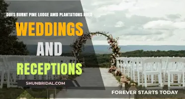 Pine Lodge Weddings: Ceremonies and Receptions Amidst Nature