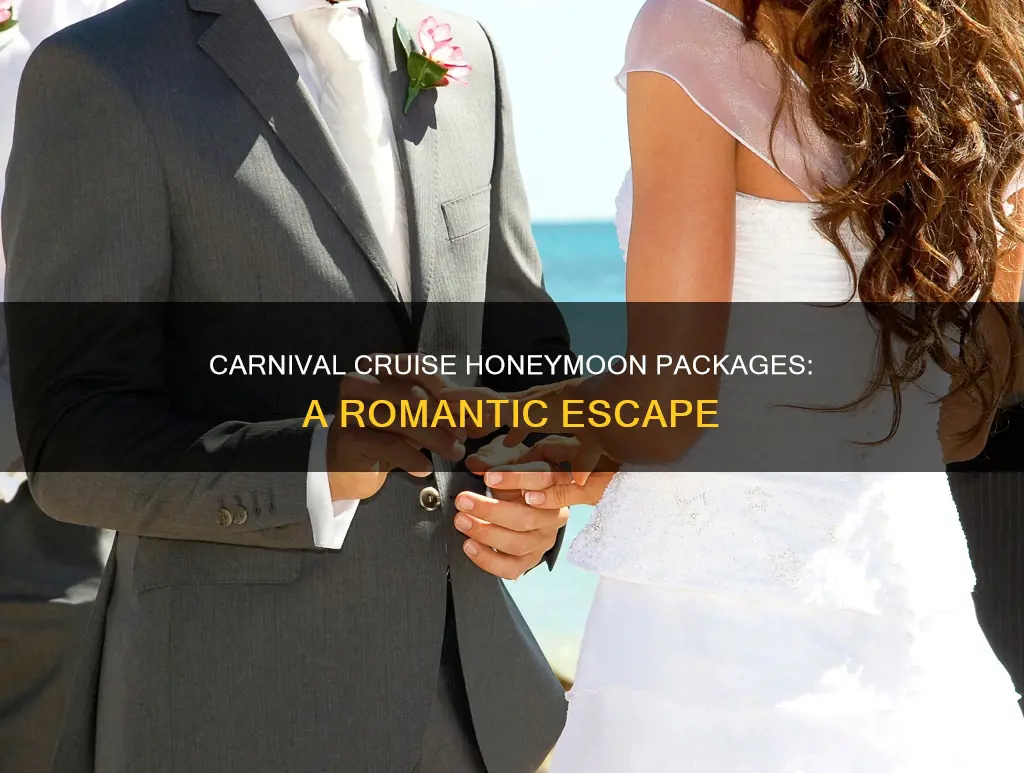 does carnival cruise have honeymoon packages