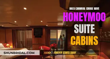 Carnival Cruise's Romantic Getaway: Honeymoon Suites Unveiled