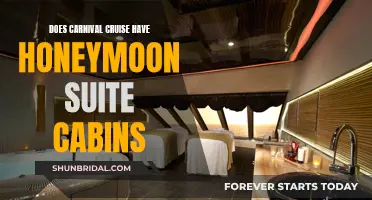 Carnival Cruise Honeymoon Suite Cabins: A Romantic Escape