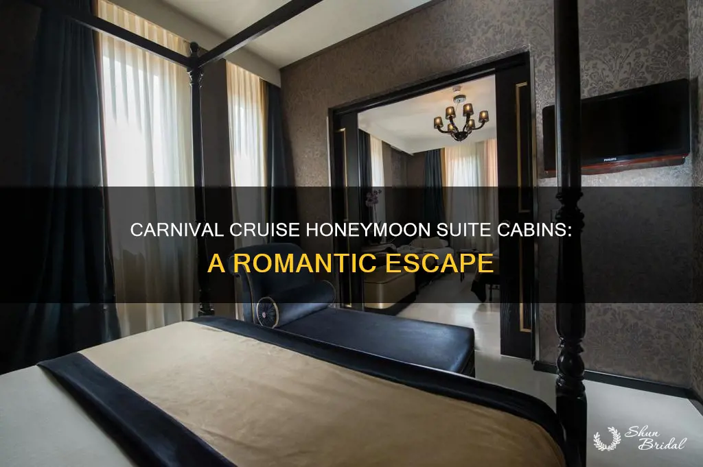 does carnival cruise have honeymoon suite cabins
