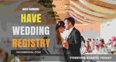 Carnival Wedding Registry: A Unique Option for Couples