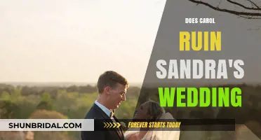 Carol's Antics: Sandra's Wedding Chaos