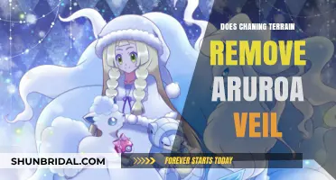 Changing Terrain: Does It Remove the Aurora Veil Effect?