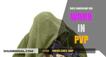 Does Concealing Veil Enhance PvP Performance? A Tactical Analysis