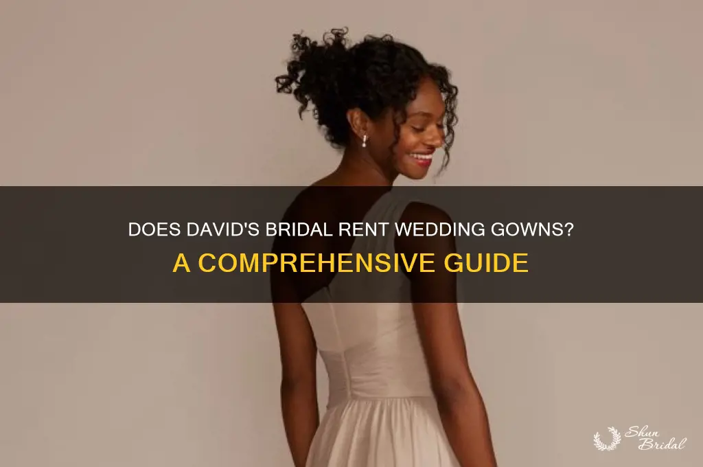 does david bridal rent wedding gowns
