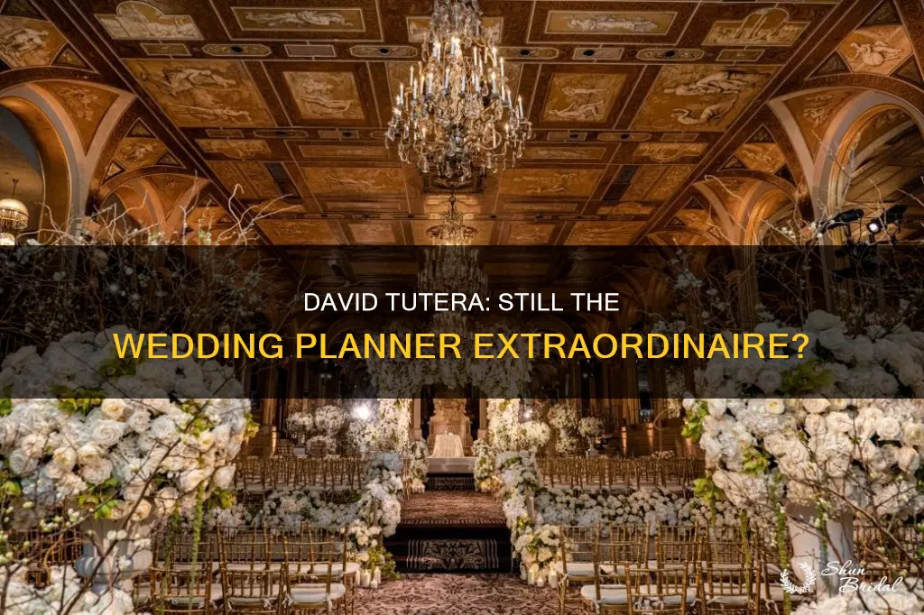 does david tutera still do weddings