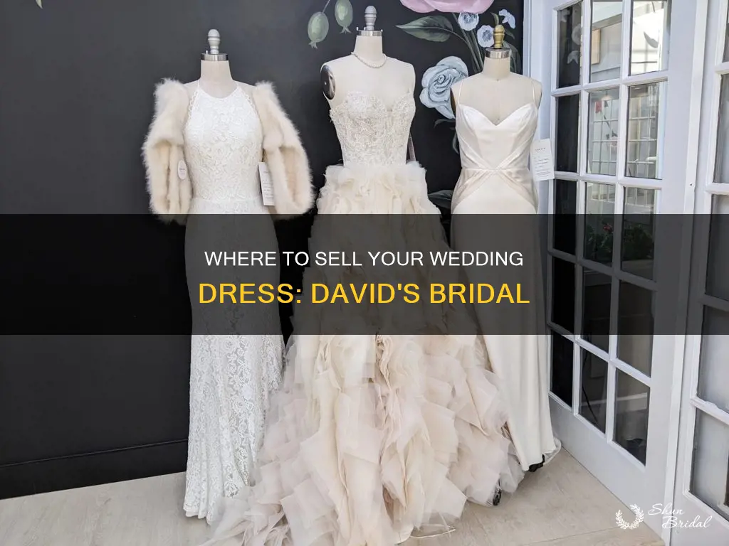 does david