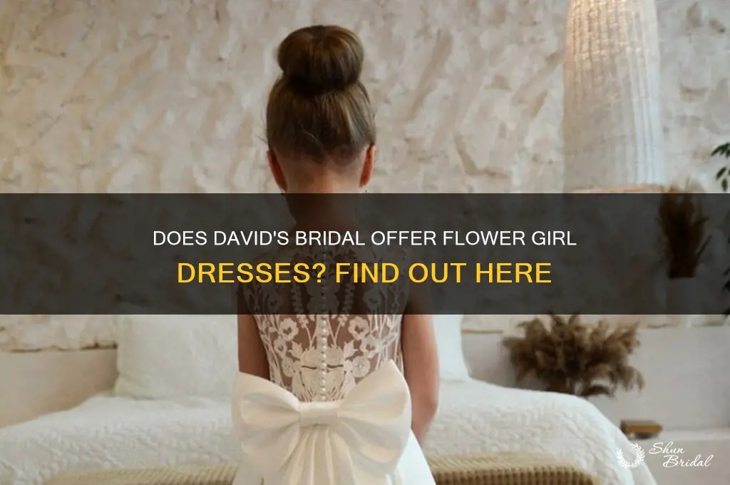 does david