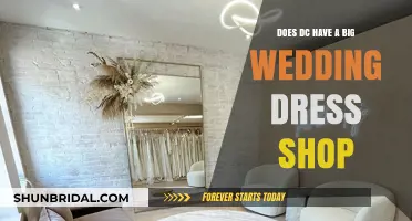 Wedding Dress Dreams in DC