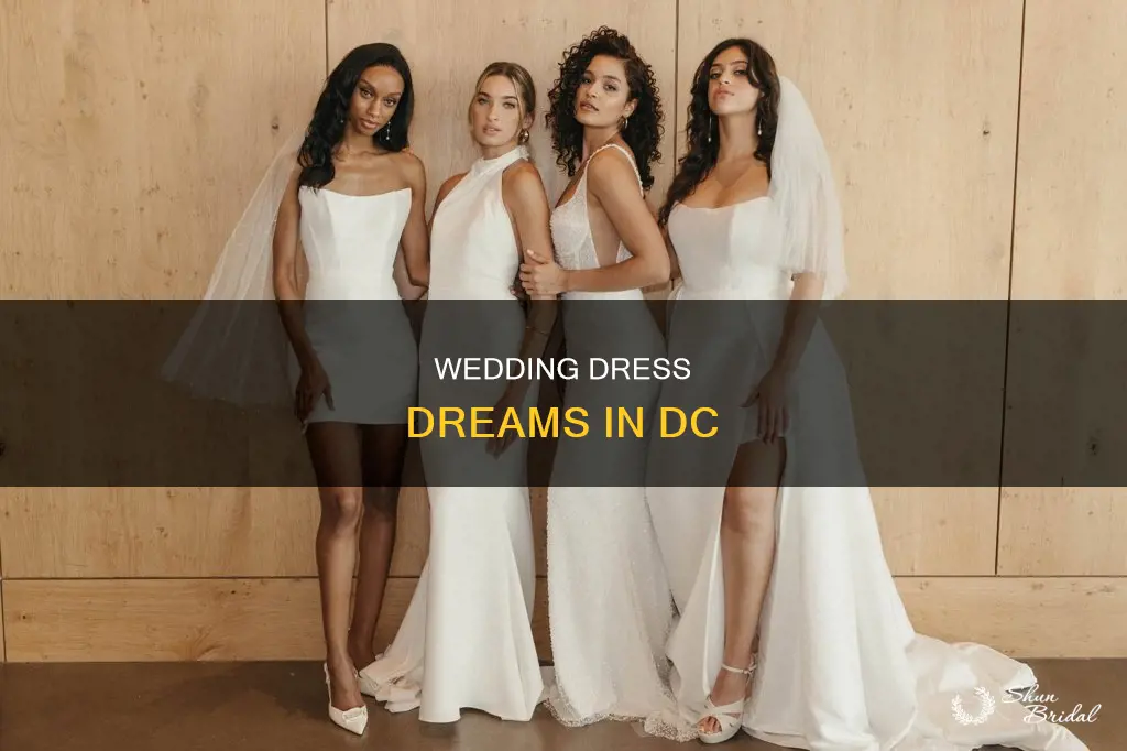 does dc have a big wedding dress shop