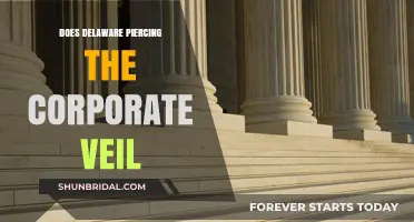 Delaware's Corporate Veil: Piercing Rules and Legal Implications Explained