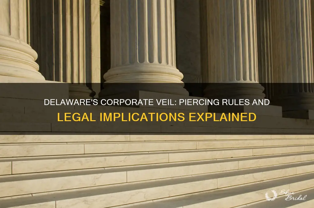 does delaware piercing the corporate veil