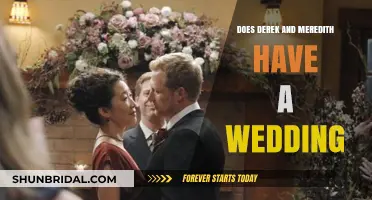 The Wedding of Derek and Meredith: Did it Happen?