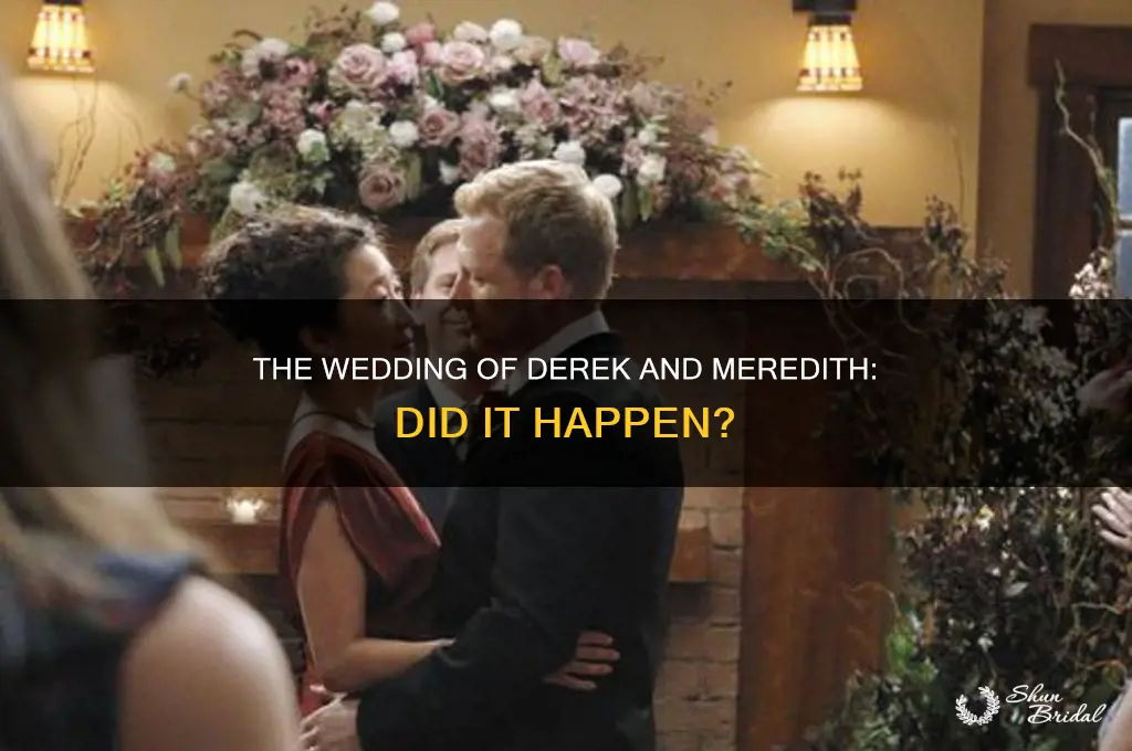 does derek and meredith have a wedding