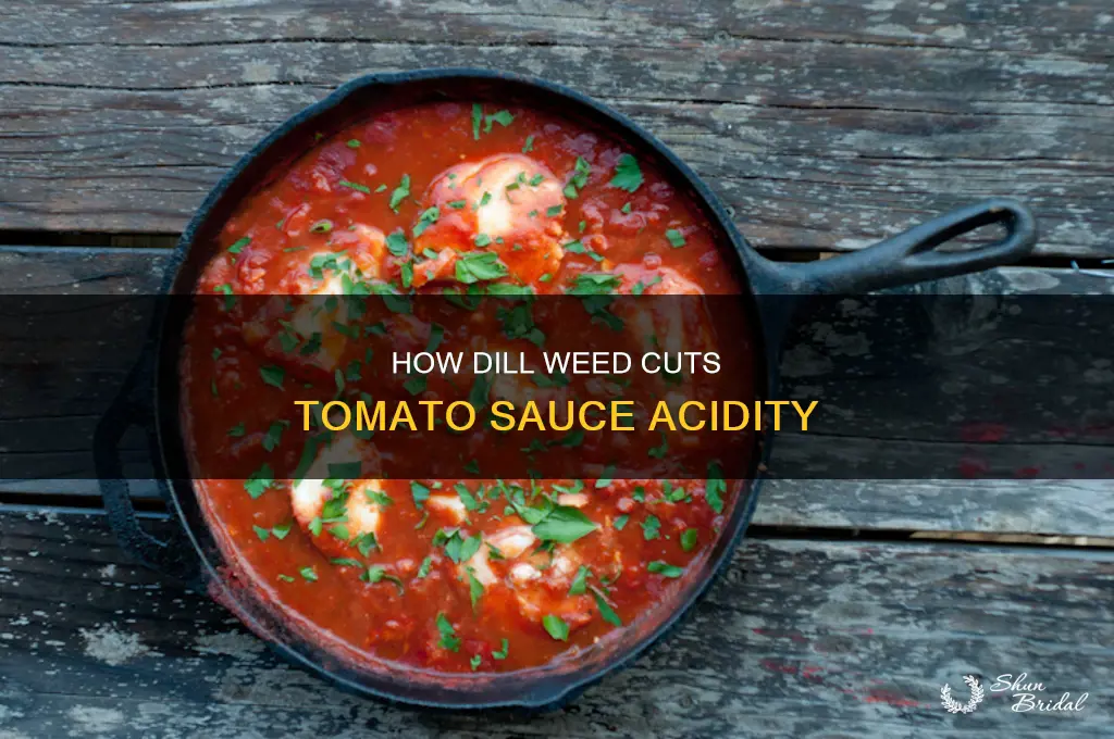 does dill wed cut the acidity of tomato sauce