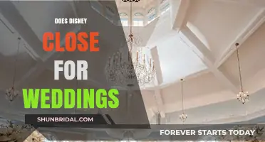 Disney Weddings: Do Parks Close for Ceremonies?