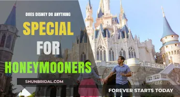 Disney Honeymoon Magic: Special Perks and Experiences for Newlyweds