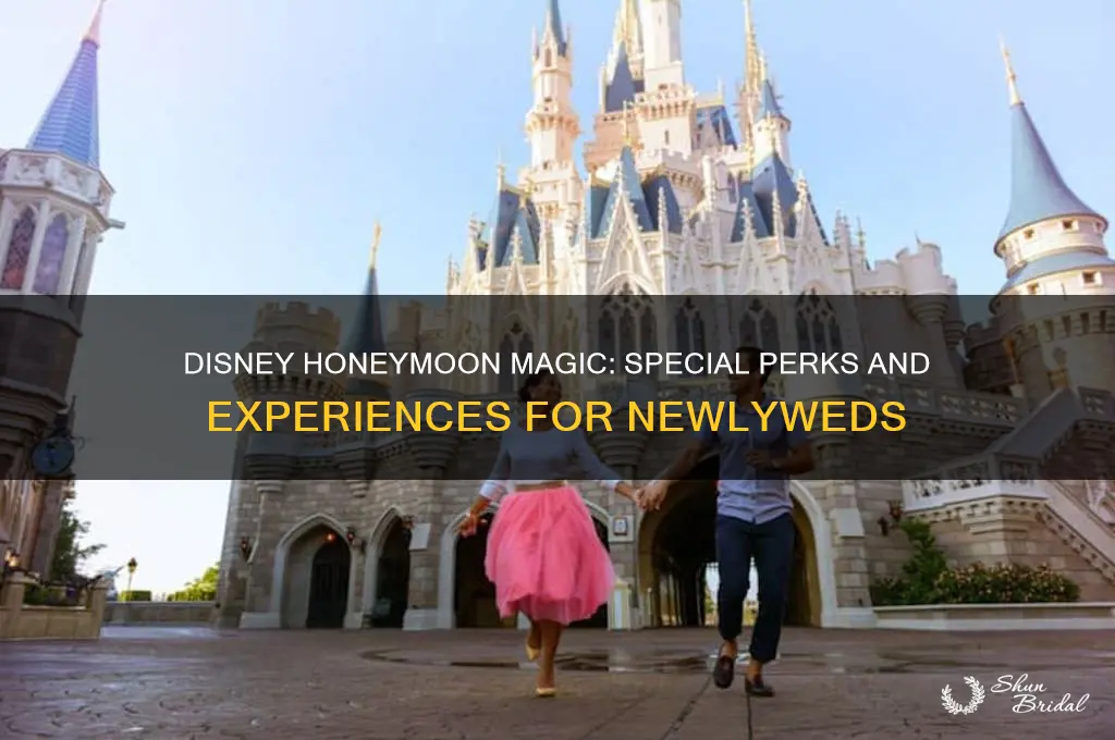 does disney do anything special for honeymooners