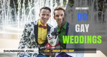 Disney's Gay Weddings: A Magical Dream Come True