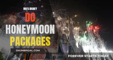 Honeymoon Packages: Disney's Magical Offerings for Newlyweds