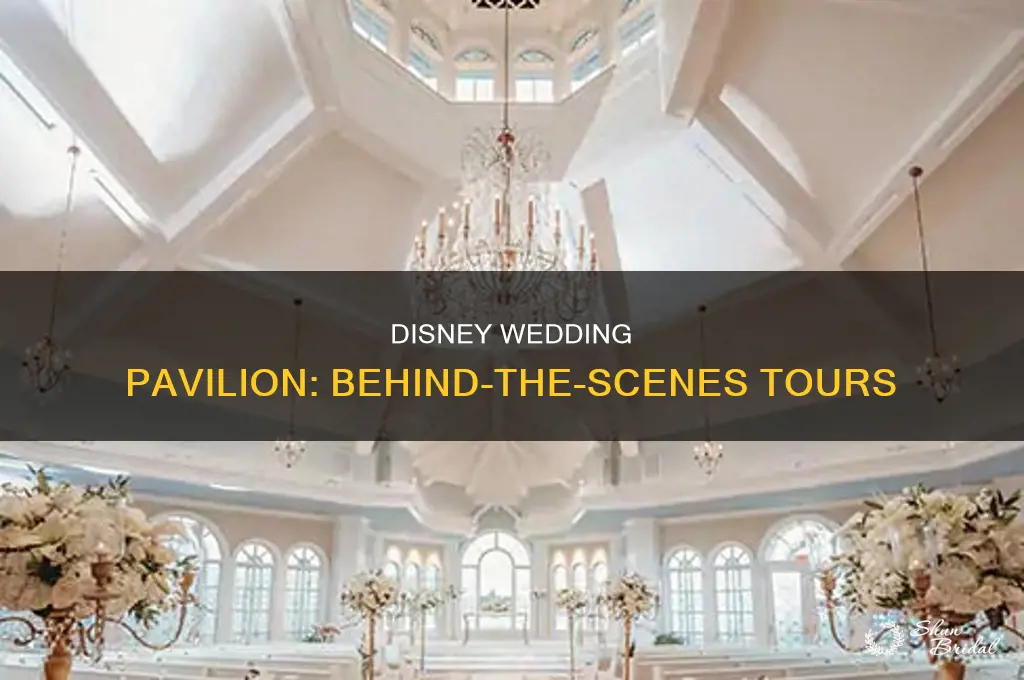 does disney do tours of wedding pavilion