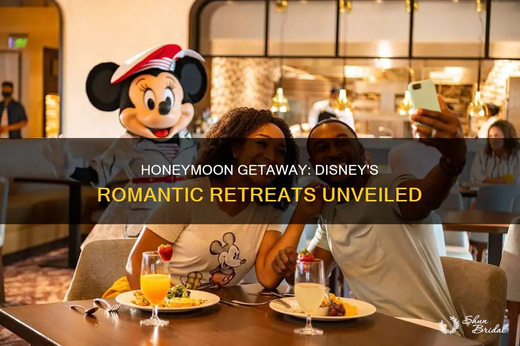 does disney have honeymoon suites