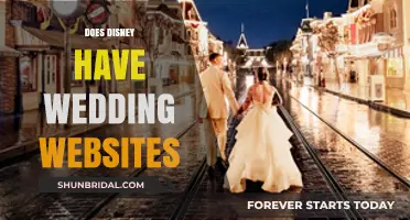 Disney Weddings: Website Features for Your Big Day