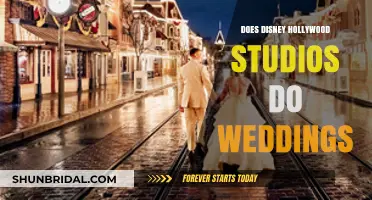 Disney Hollywood Studios: Magical Weddings?