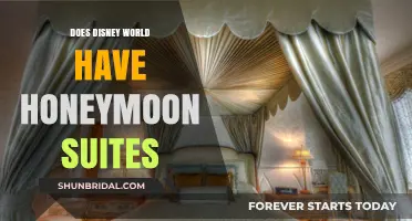 Disney World Honeymoon Suites: Romantic Getaways for Newlyweds