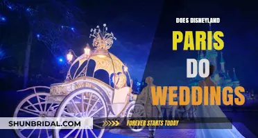 Disneyland Paris: Magical Weddings and Honeymoons