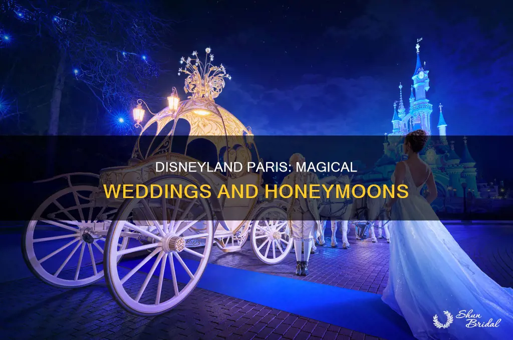 does disneyland paris do weddings