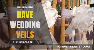 Dollar Tree Wedding Veils: Affordable Bridal Accessories for Your Big Day?